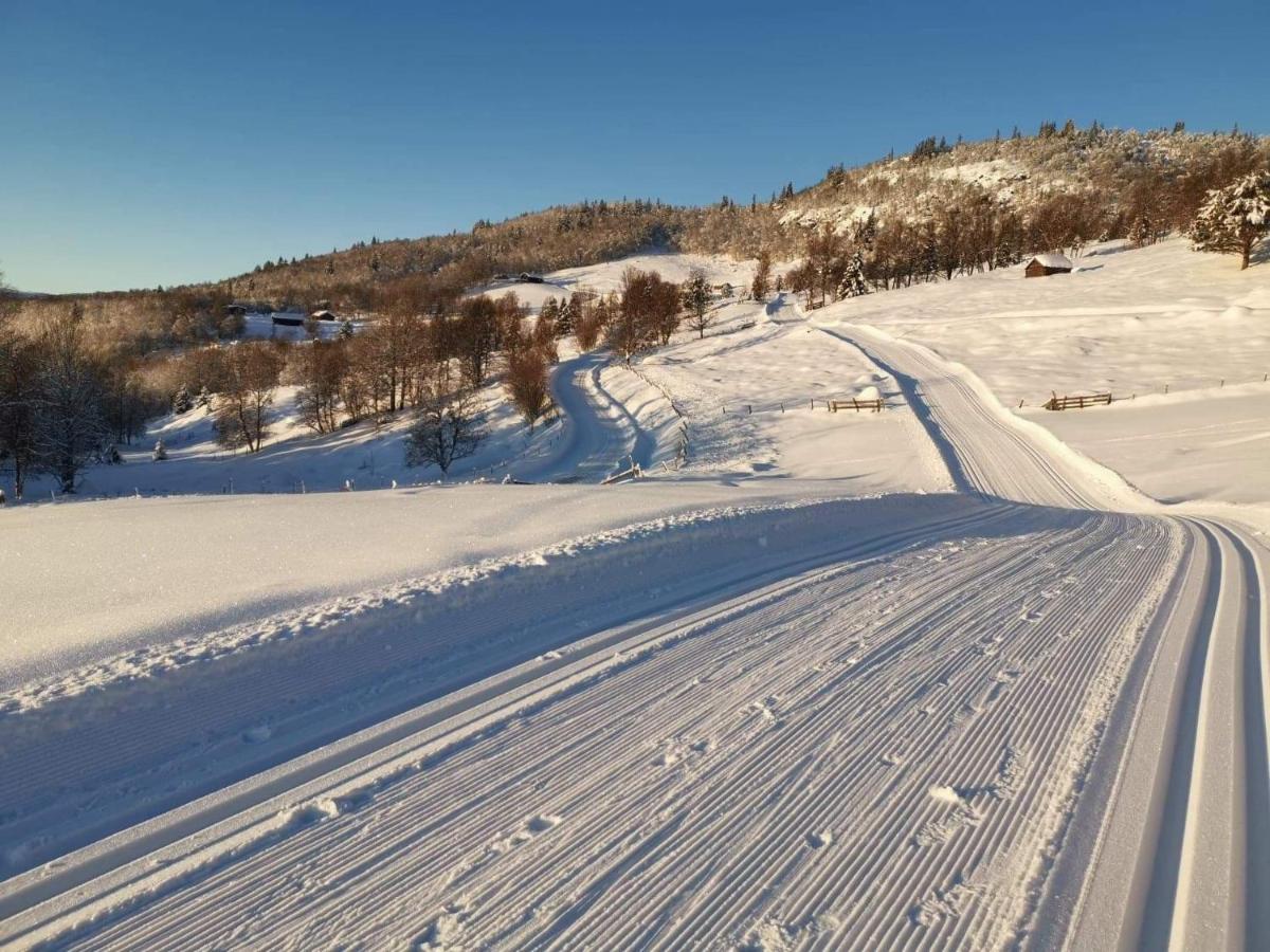 Na Er Vinteren Kommet Til Hallingdal Ål Dış mekan fotoğraf