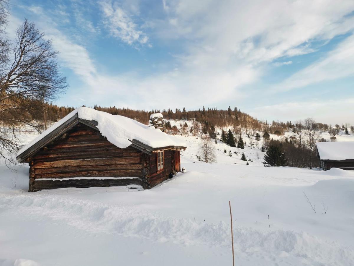 Na Er Vinteren Kommet Til Hallingdal Ål Dış mekan fotoğraf